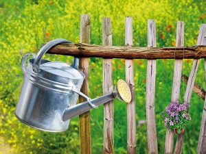 <p>Wasser zur Gartenbewässerung</p>