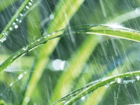 <p>Regenwasser</p>