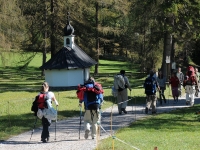 <p>Erhaltung & Pflege von Wanderwegen</p>